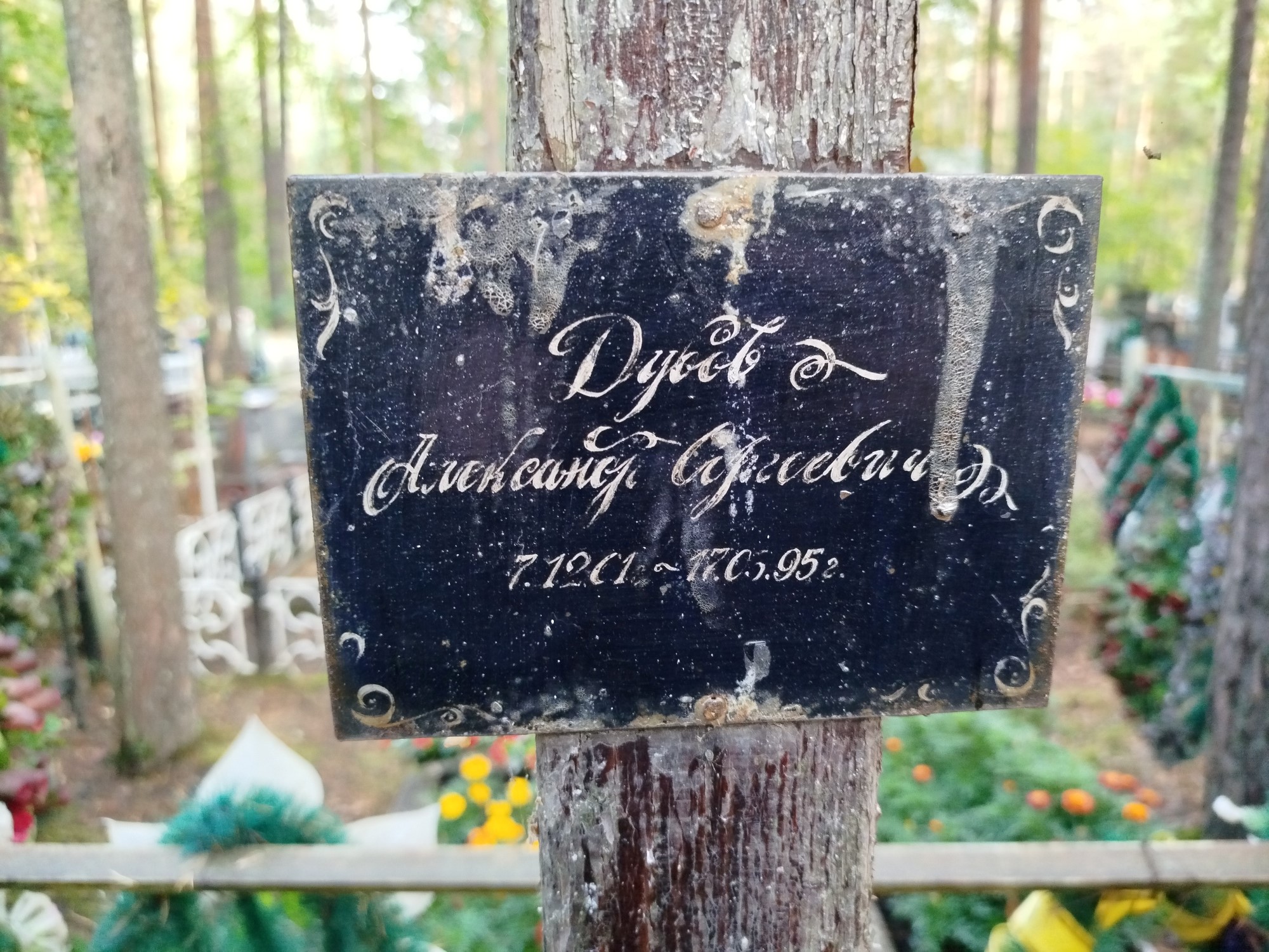 Дубов Александр Сергеевич