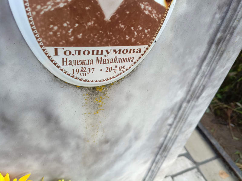 Голошумова