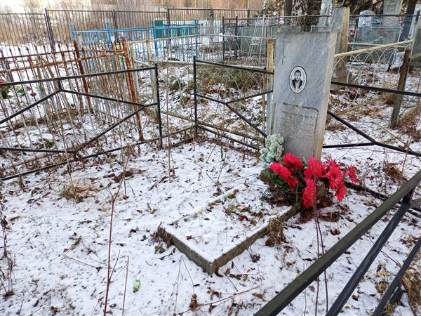 Михайлов Анатолий Степанович