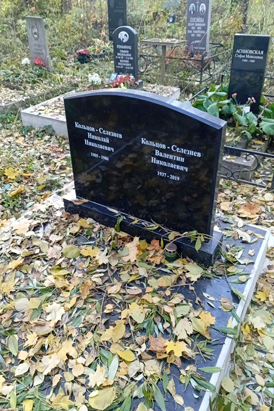 Кольцов-Селезнев Валентин Николаевич