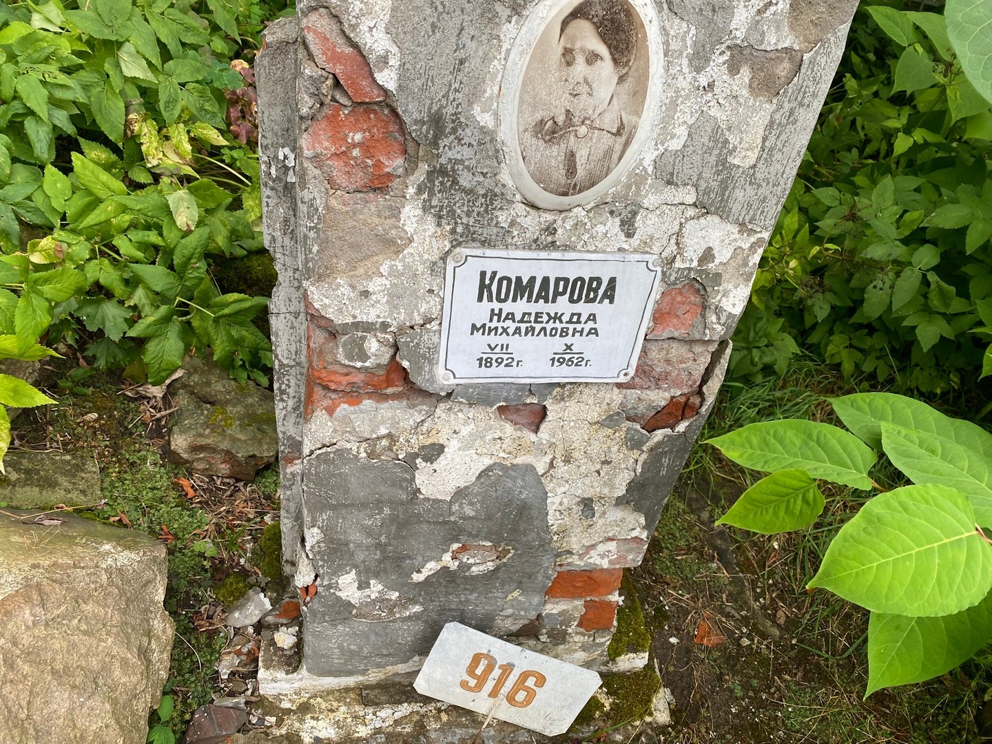 Комарова