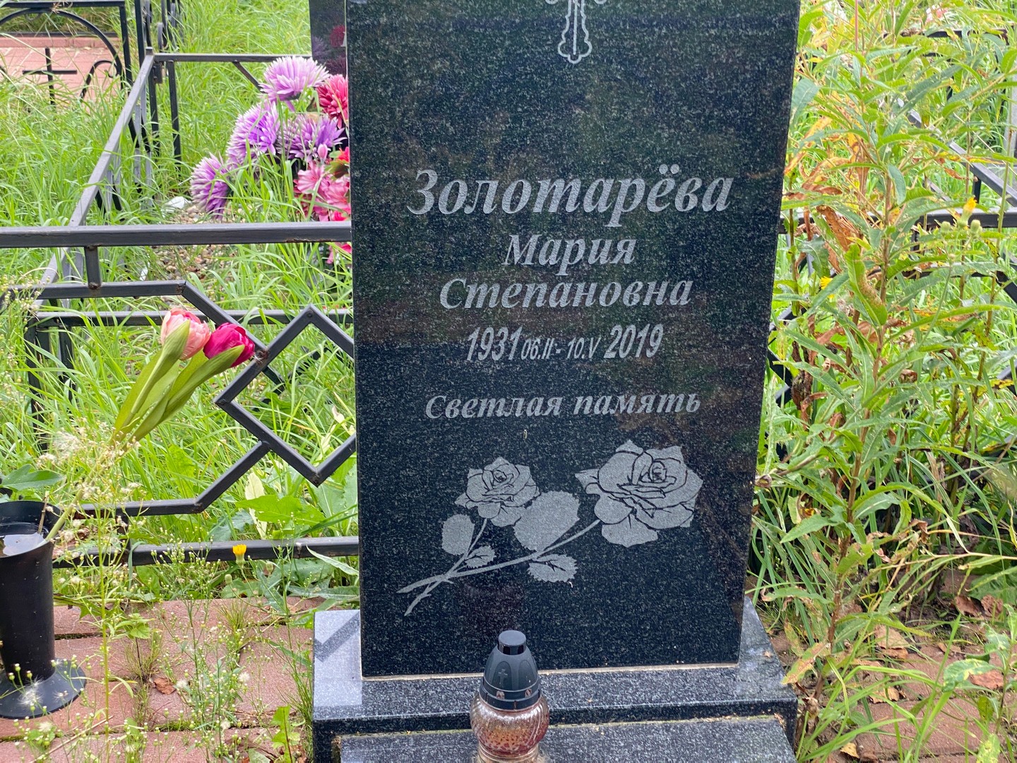 Золотарева