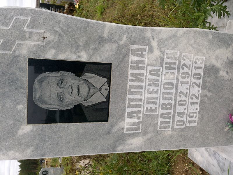 Цаплина