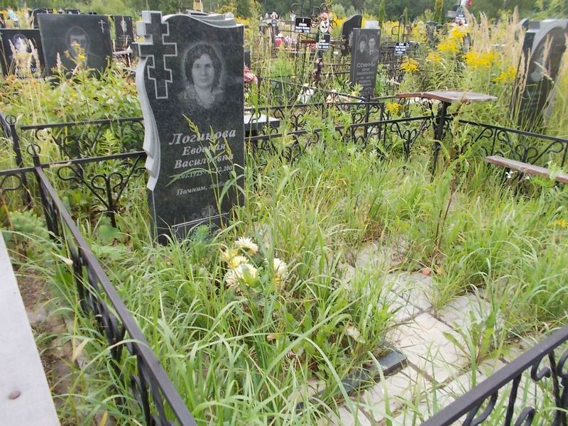 Логинова Евдокия Васильевна