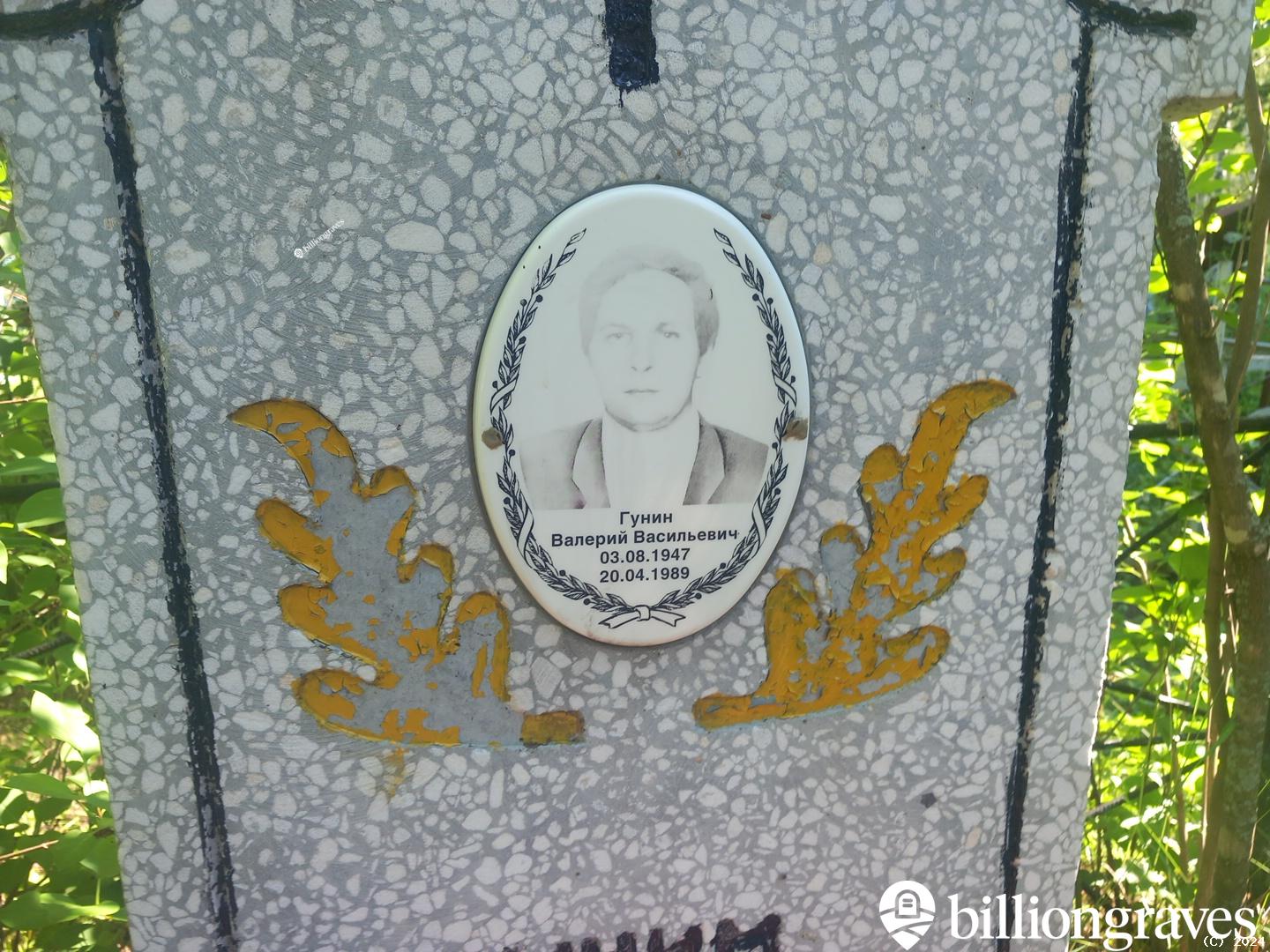 Гунин Валерий Васильевич