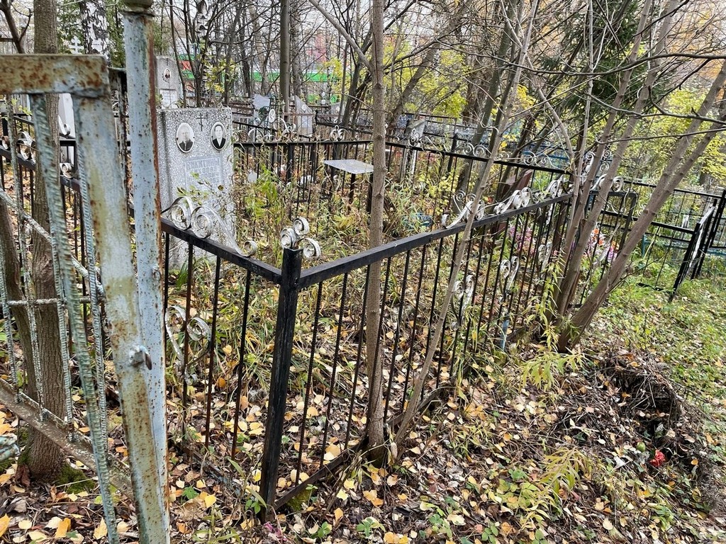 Никитин Николай Павлович