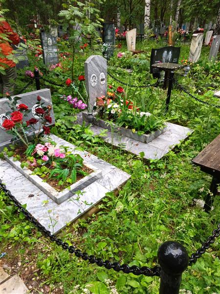 Шегорцева Нина Николаевна