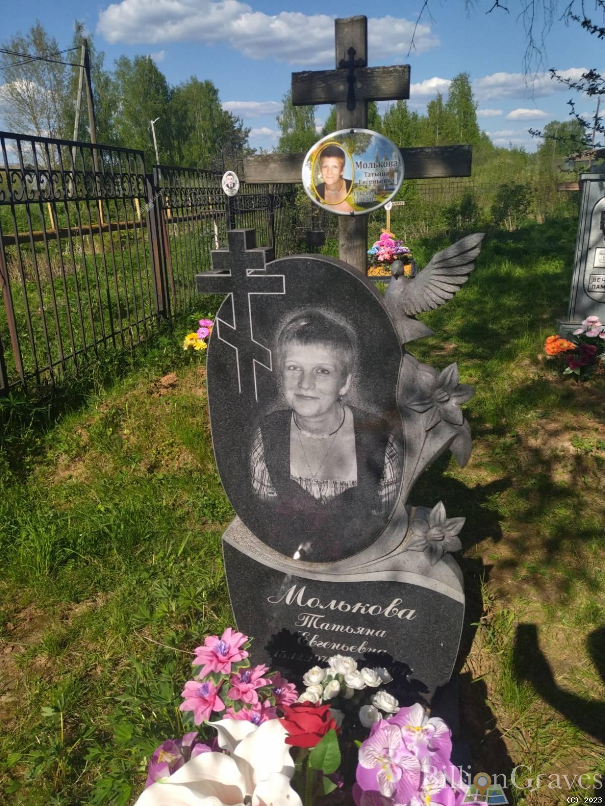 Молькова Татьяна Евгеньевна