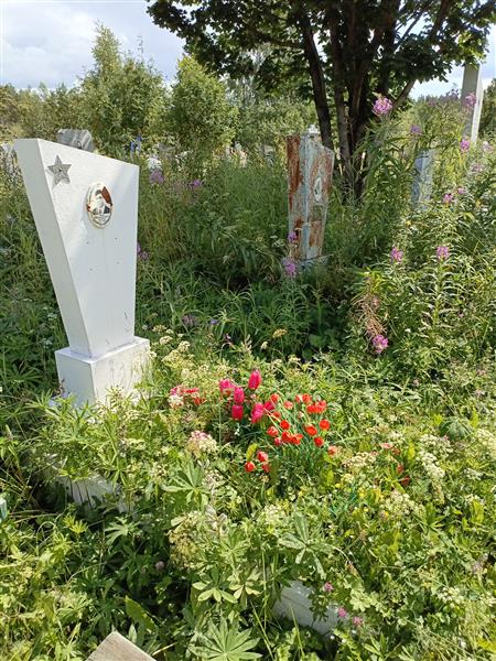 Павлов Владимир Петрович