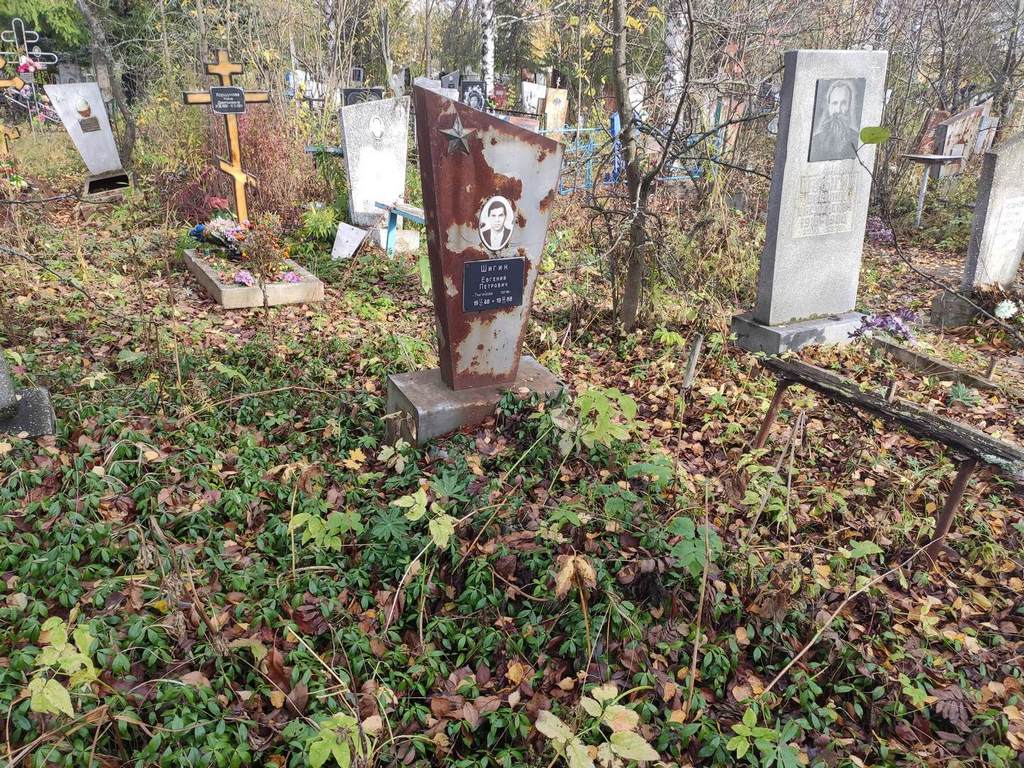 Шигин Евгений Петрович