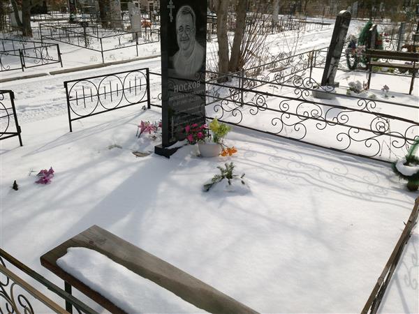 Носков Вячеслав Михайлович