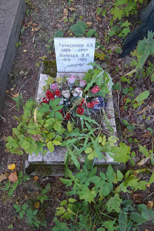 Герасимов А. А.