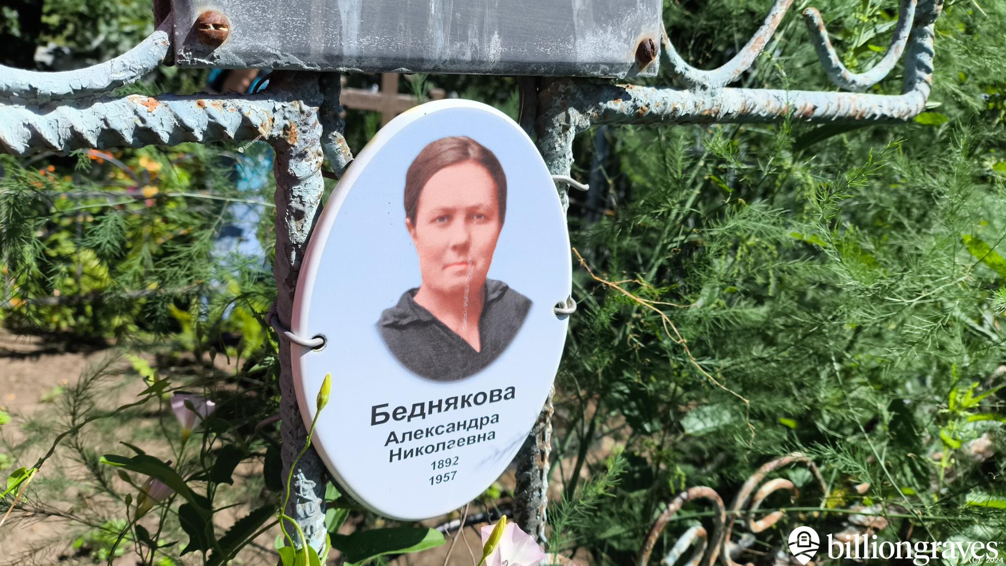 Беднякова Александра Николаевна