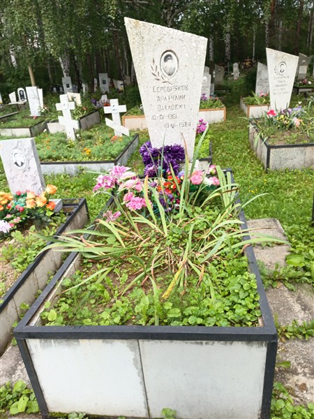 Серебряков Анатолий Павлович