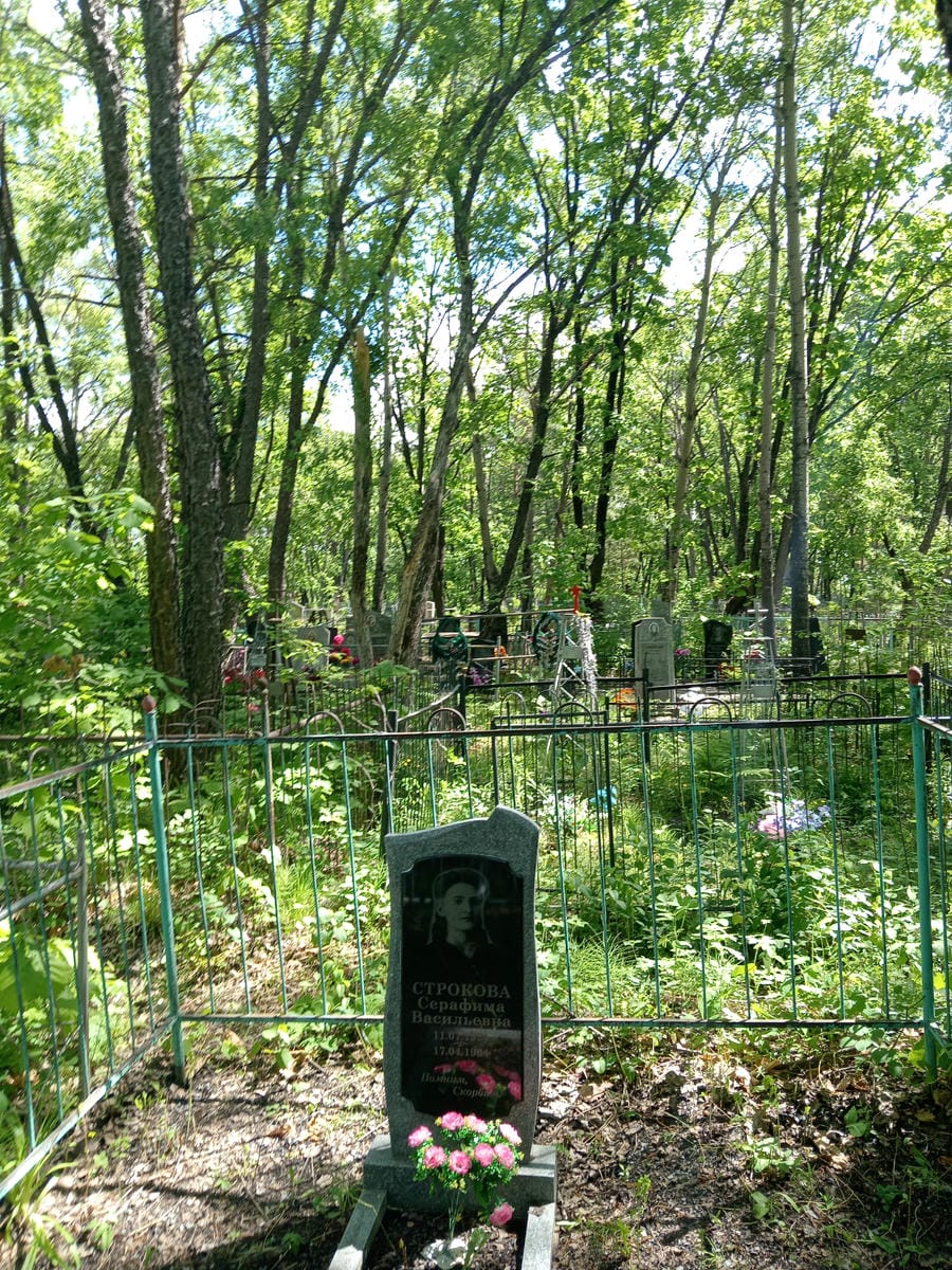 Строкова Серафима Васильевна
