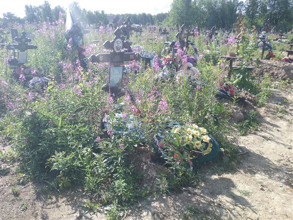 Кушнир Галина Сергеевна