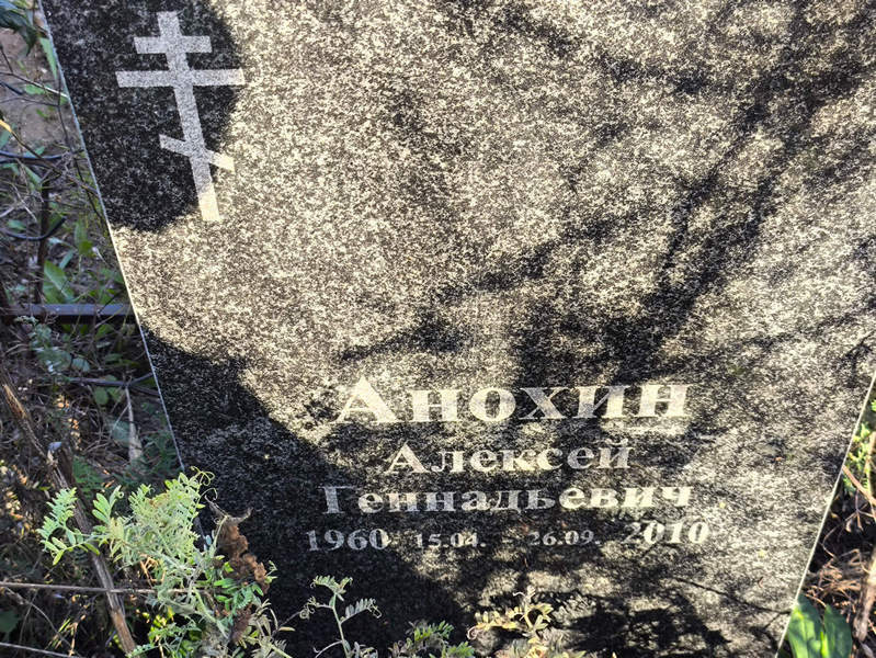 Анохин