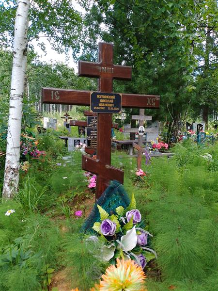 Жулинский Николай Иванович