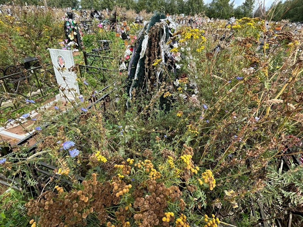 Торопова Алевтина Сергеевна