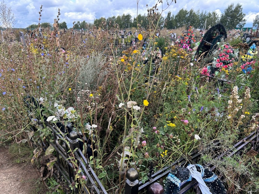 Авдеев Александр Петрович