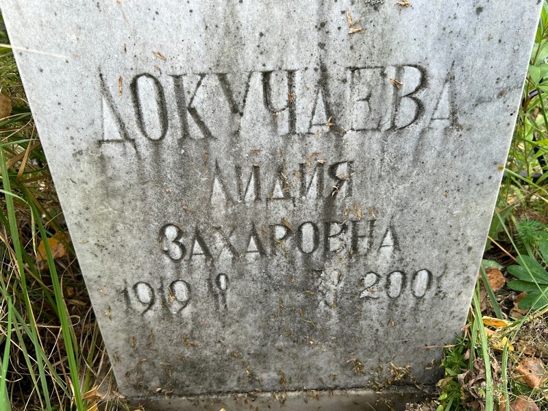 Докучаева