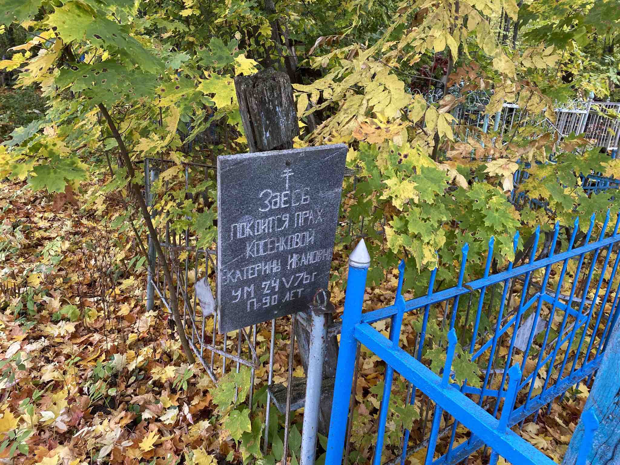 Косенкова Екатерина Ивановна