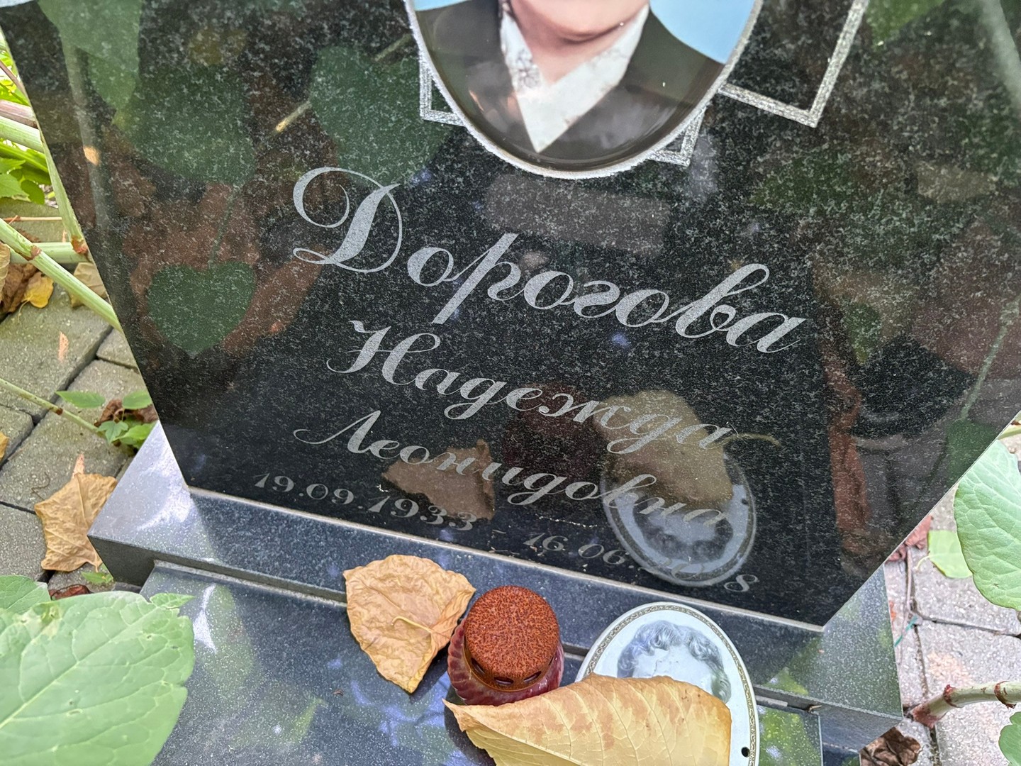Дорогова