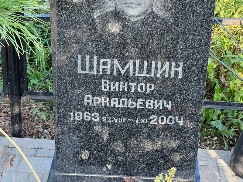 Шамшин