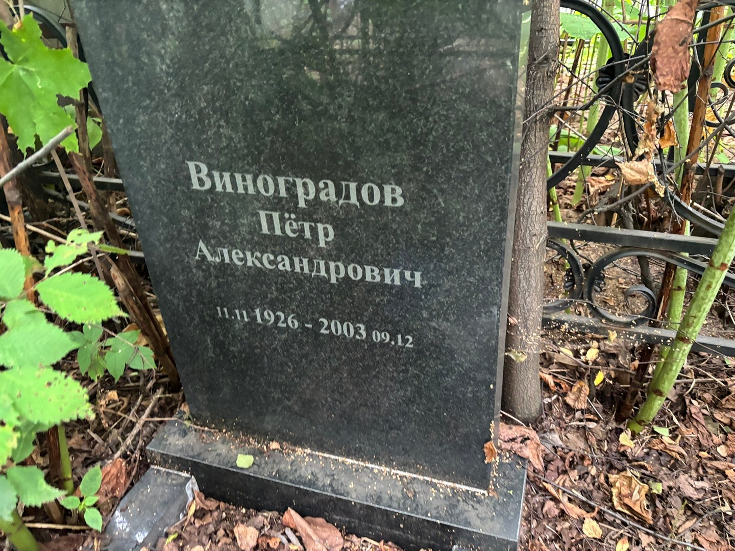 Виноградов