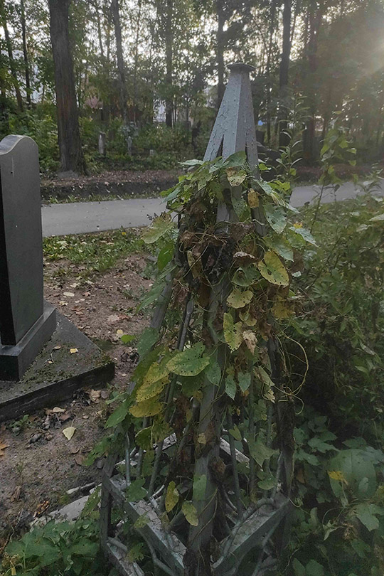 Самсонов Александр Николаевич