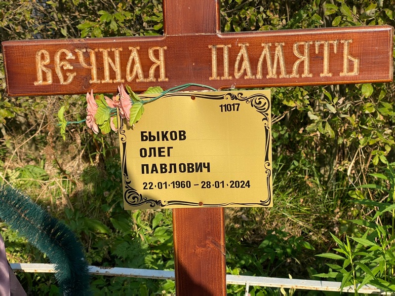 Быков