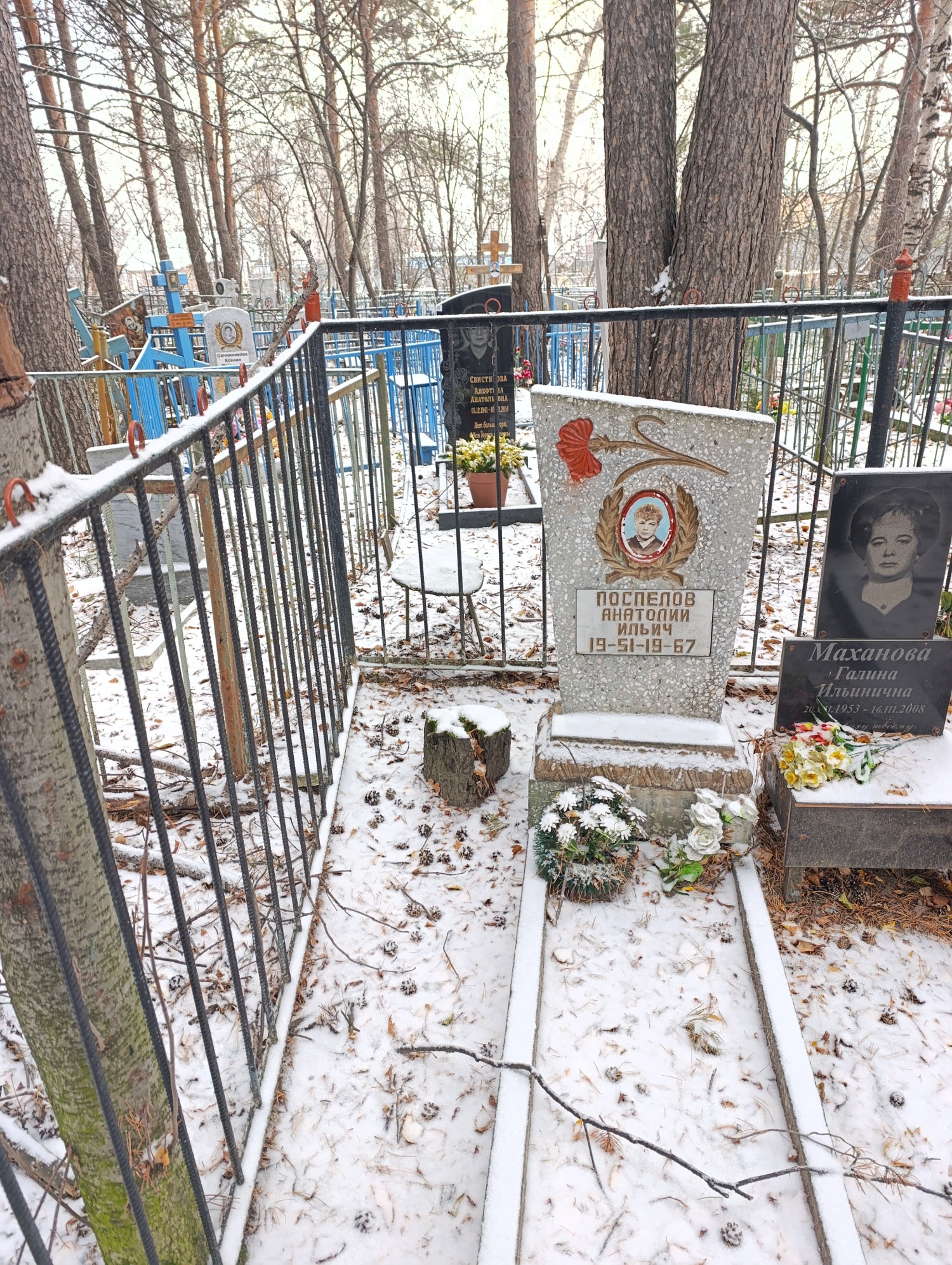 Поспелов Анатолий Ильич