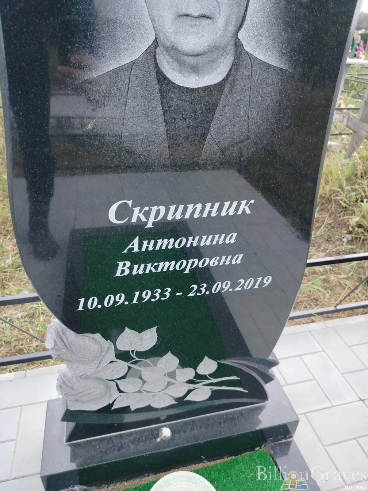 Скрипник Антонина Викторовна