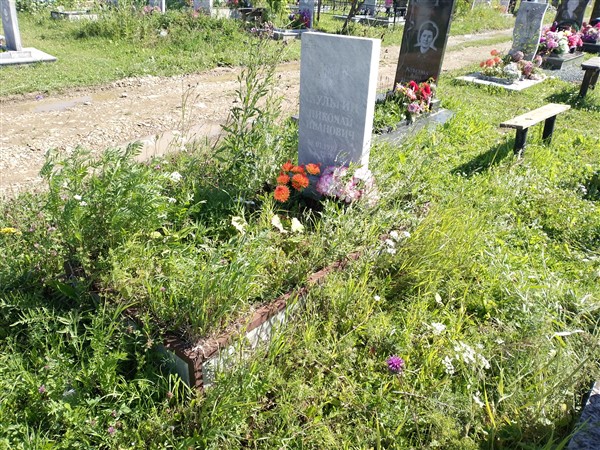 Шульгин Николай Иванович