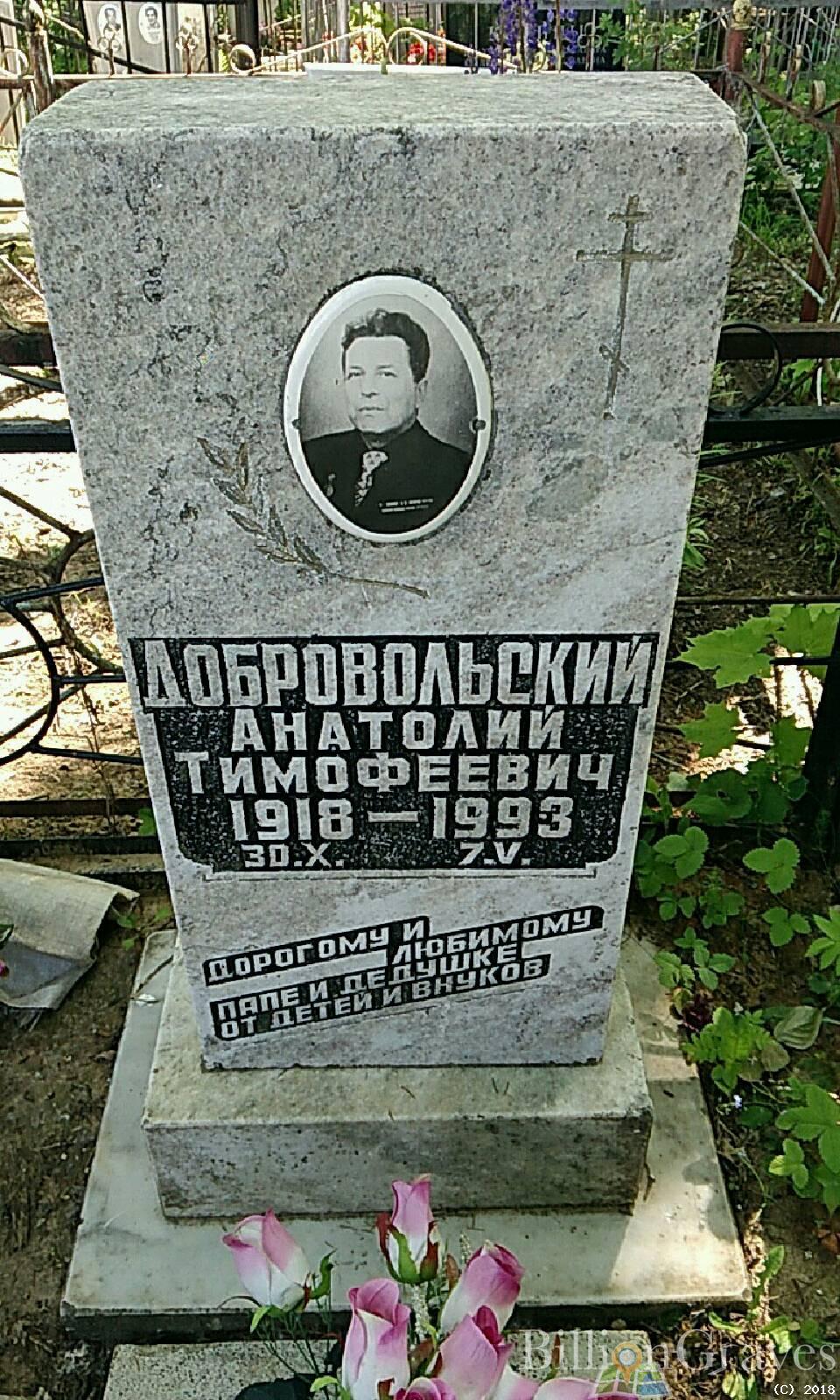 Добровольский Анатолий Тимофеевич