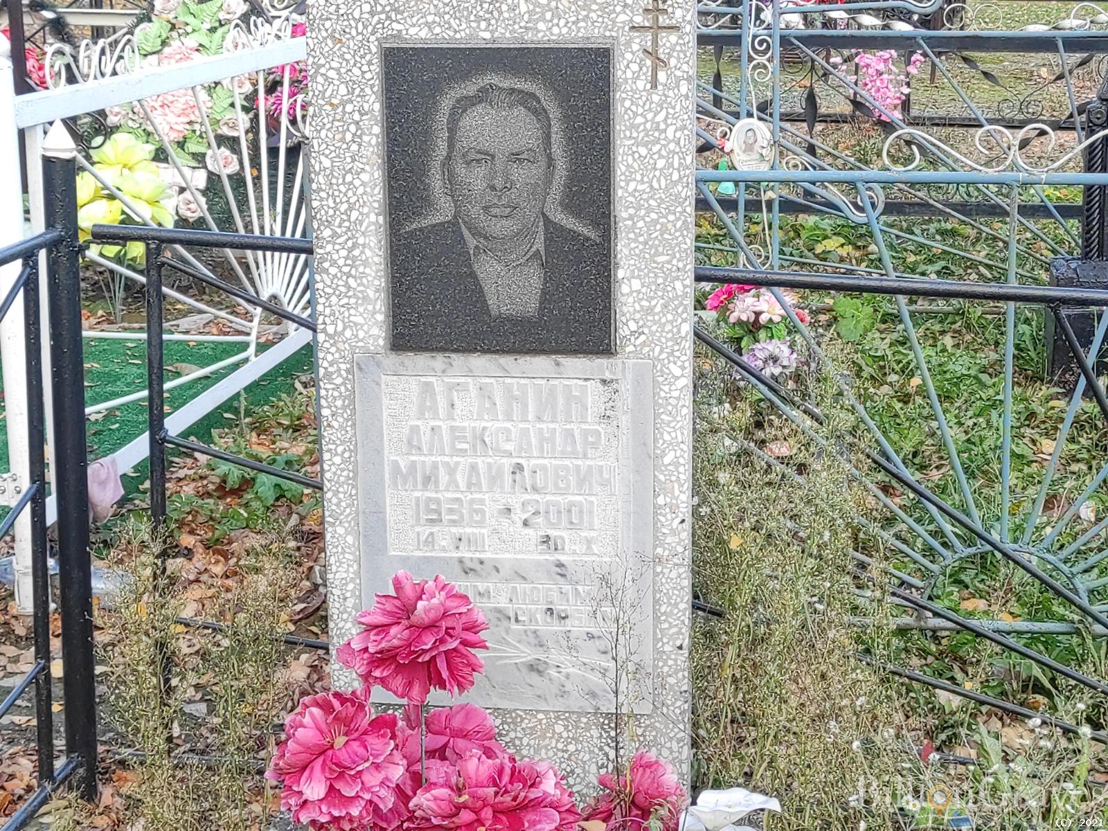 Аганин Александр Михайлович