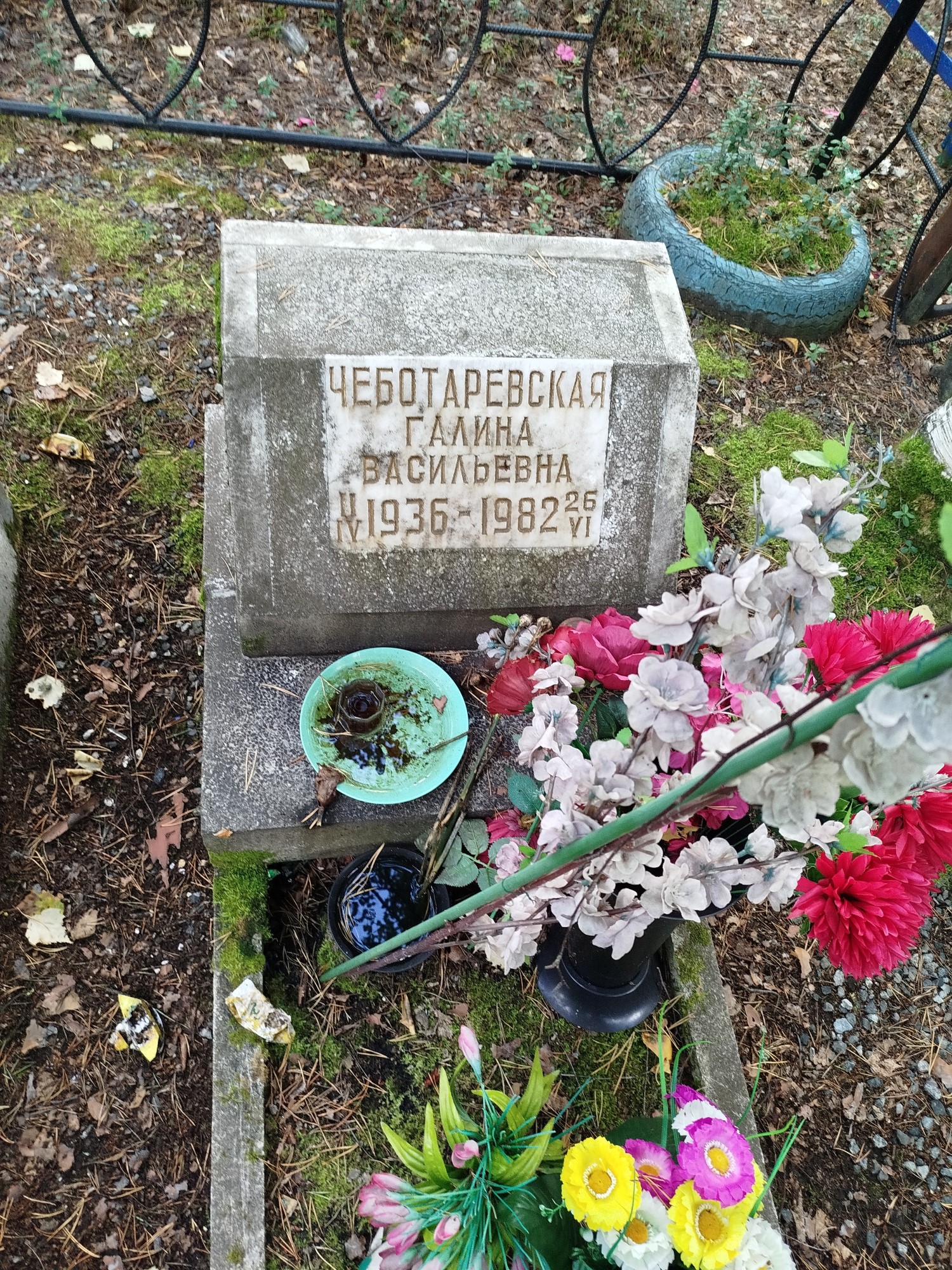 Чеботаревская Галина Васильевна