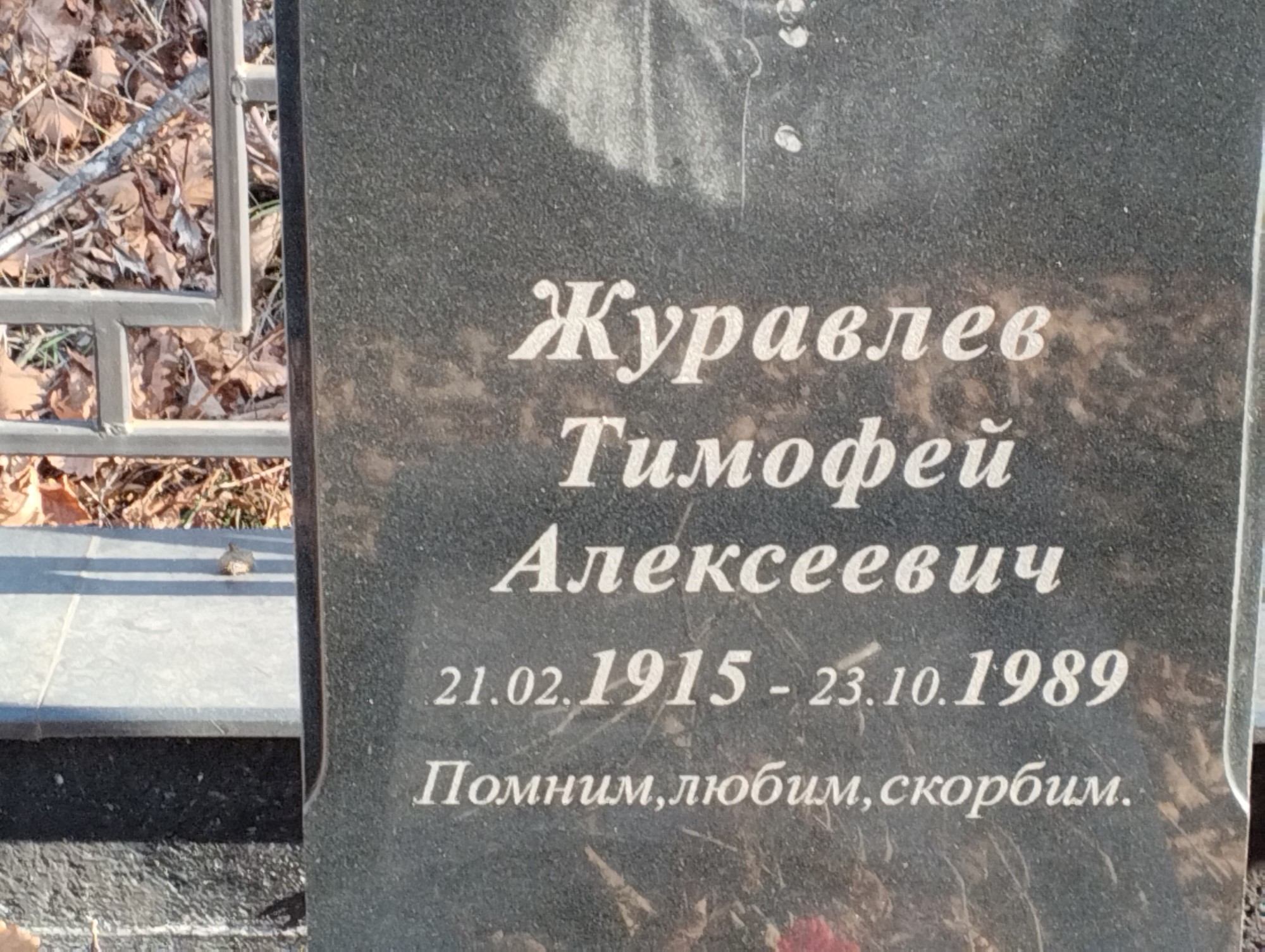 Журавлев Тимофей Алексеевич