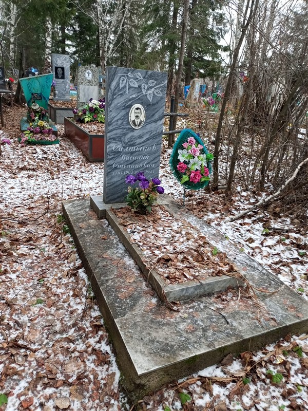 Салтыков Василий Степанович
