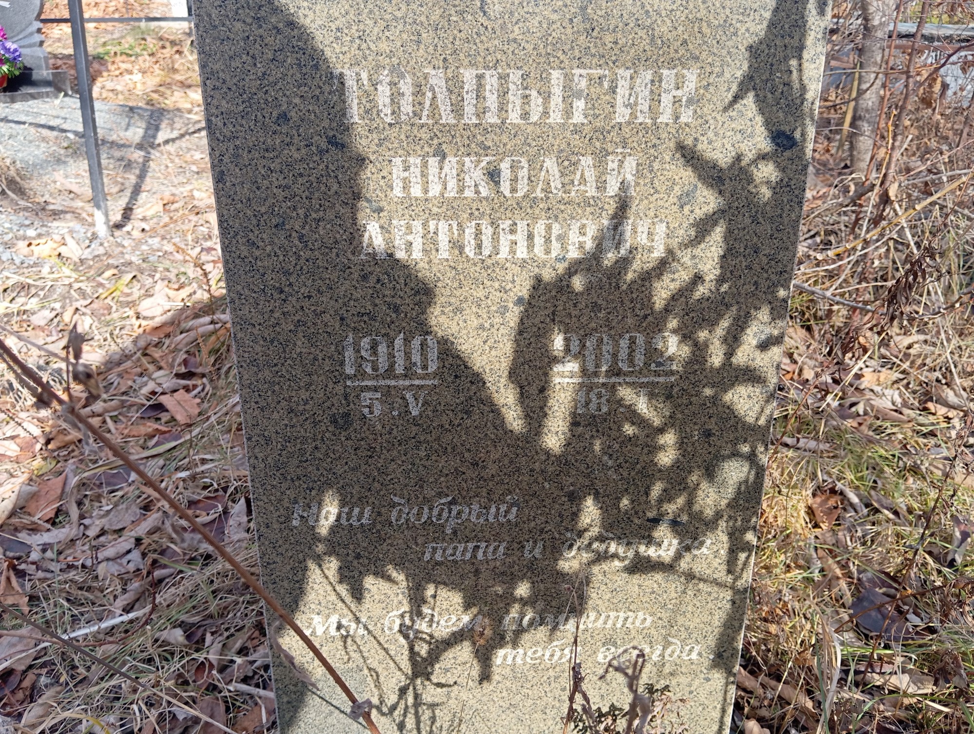 Толпыгин Николай Антонович