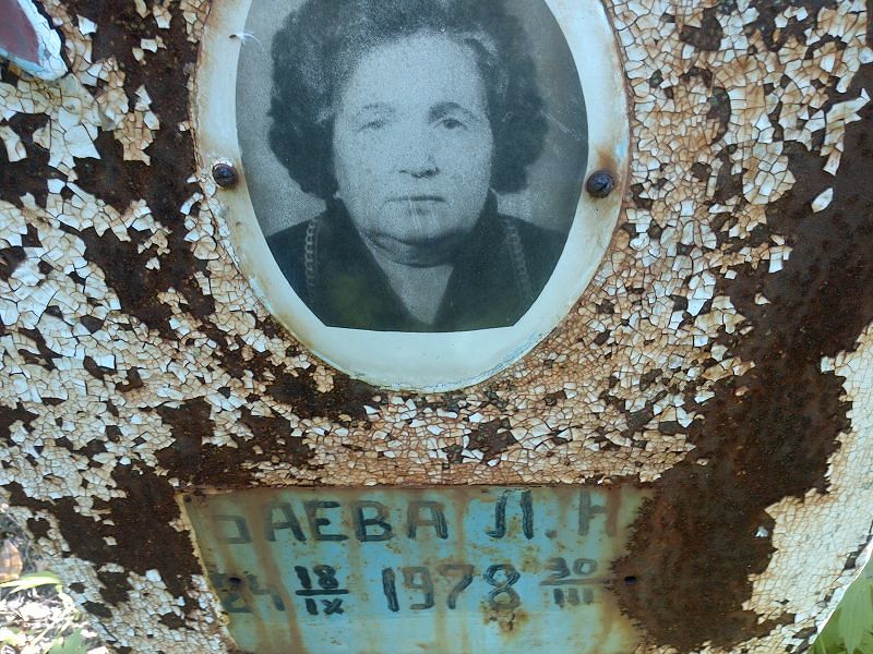 Л Баева Н