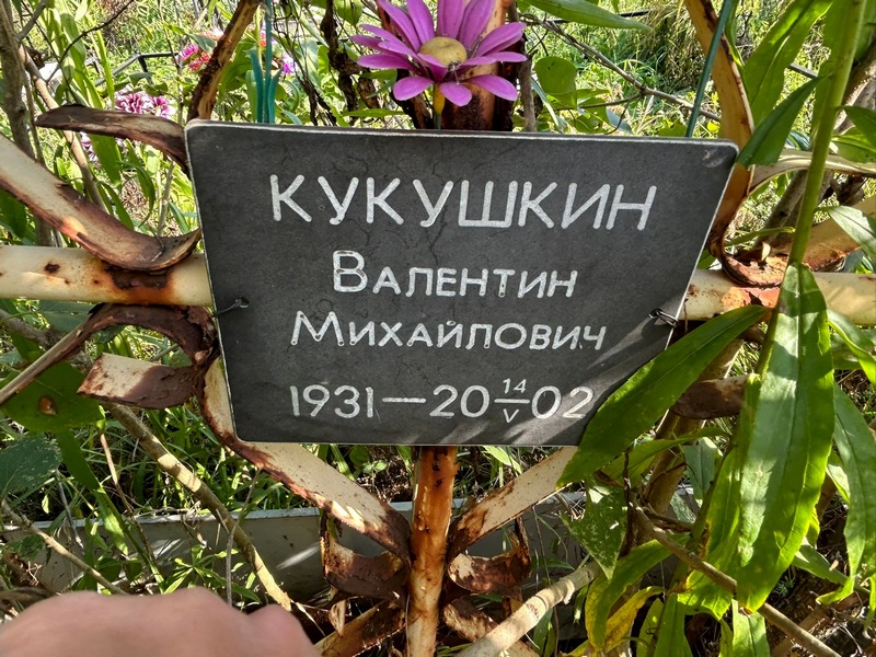 Кукушкин