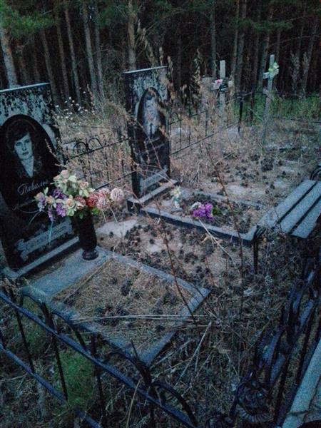 Павильч Николай Александрович