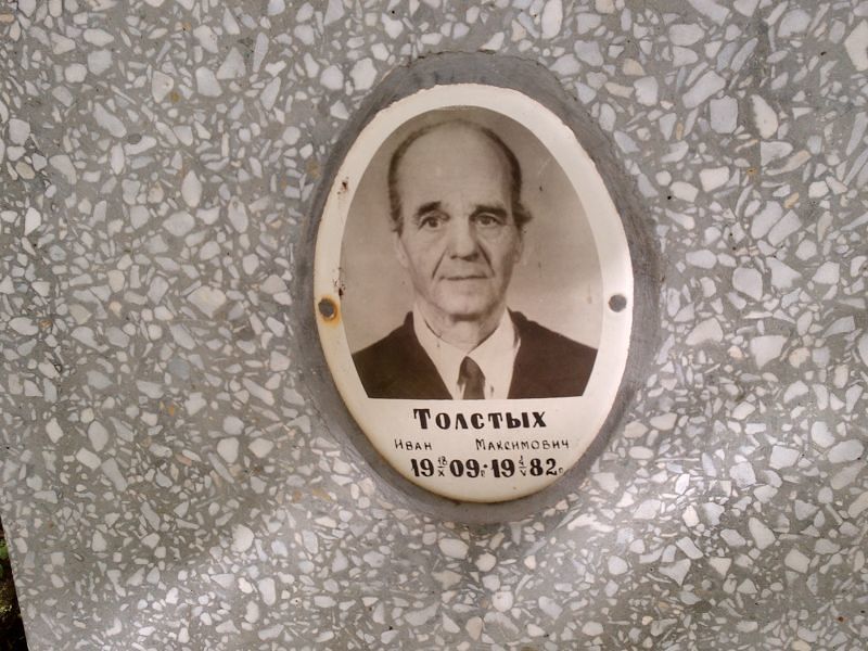 Толстых