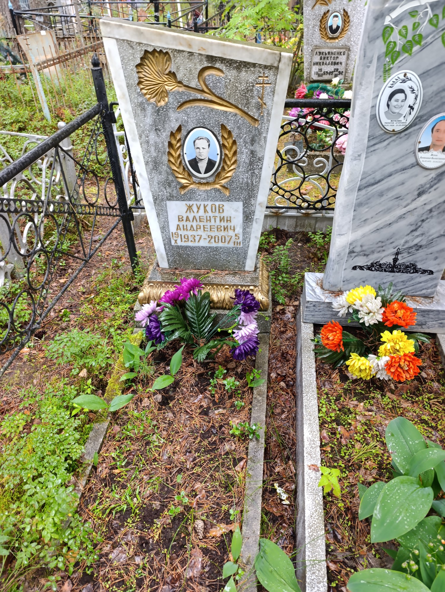 Жуков Валентина Андреевич