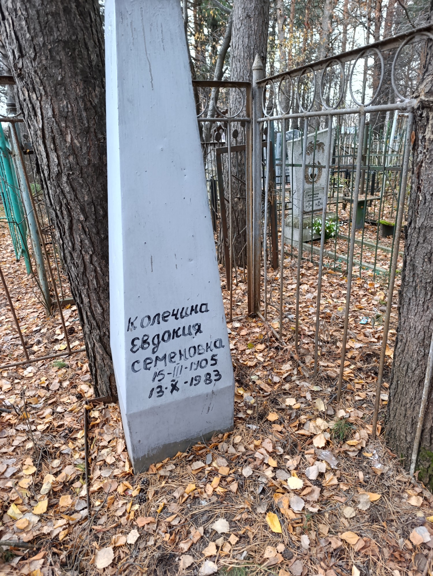 Колечина Евдокия Семеновна
