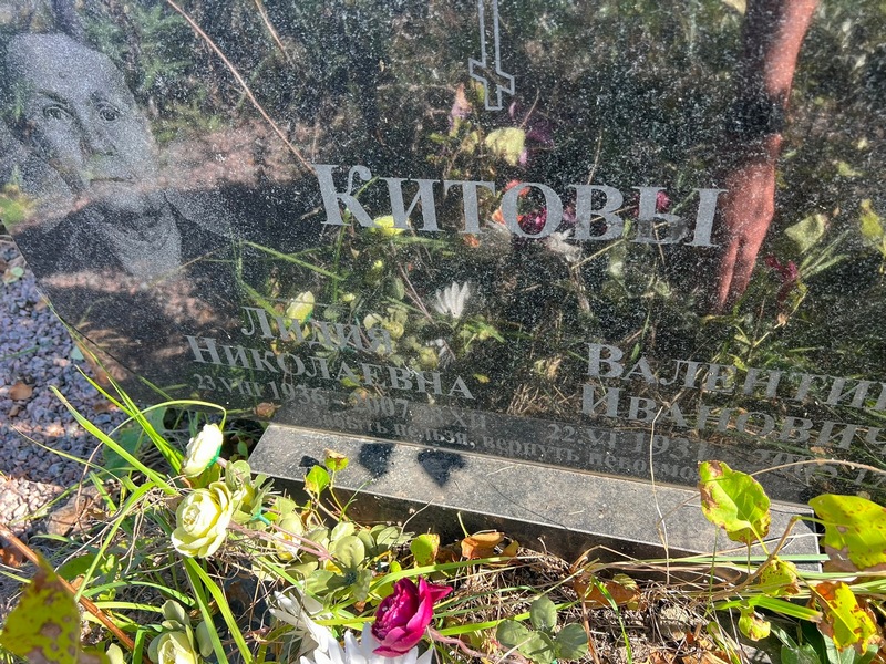 Китова