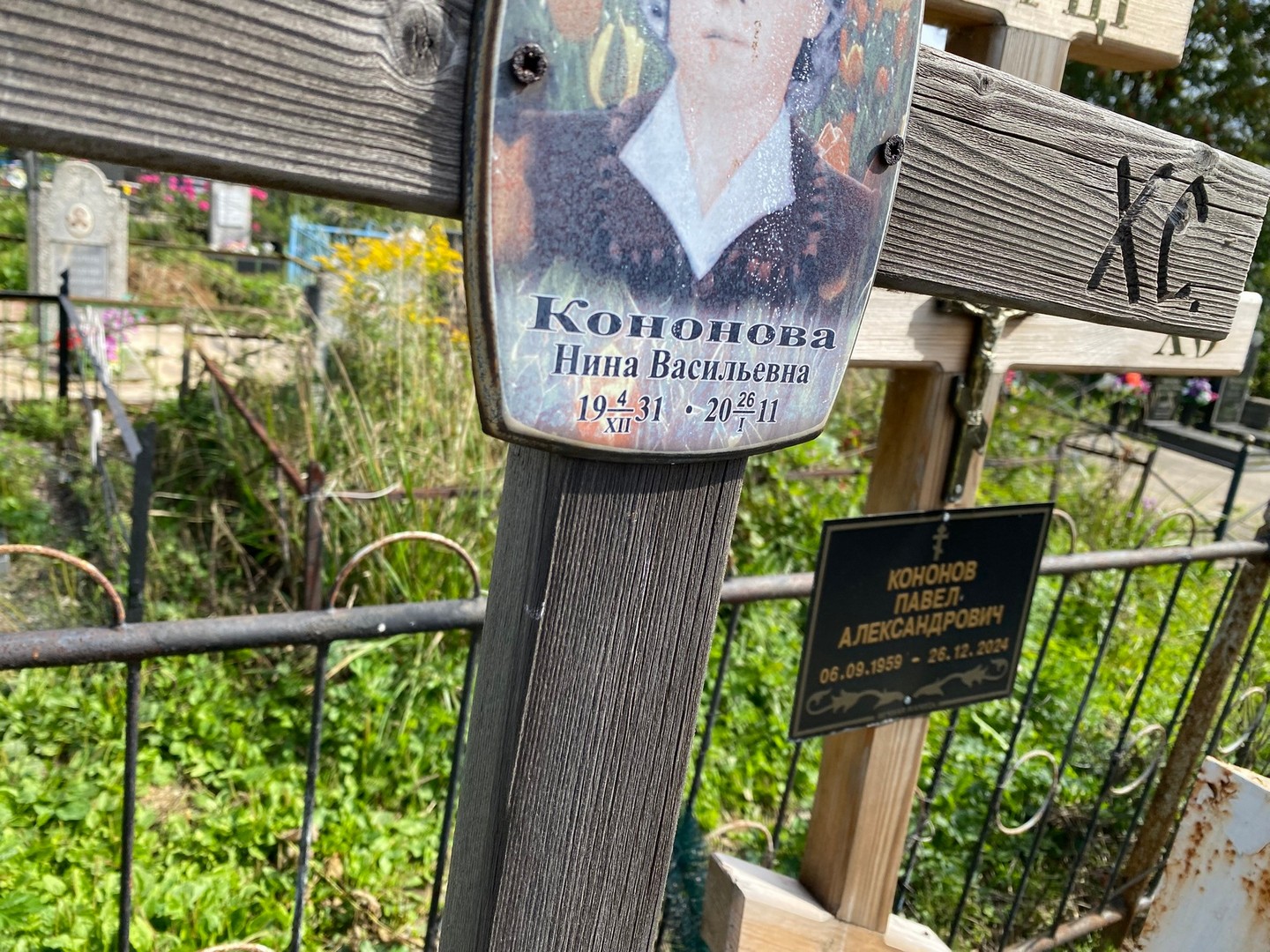 Кононова