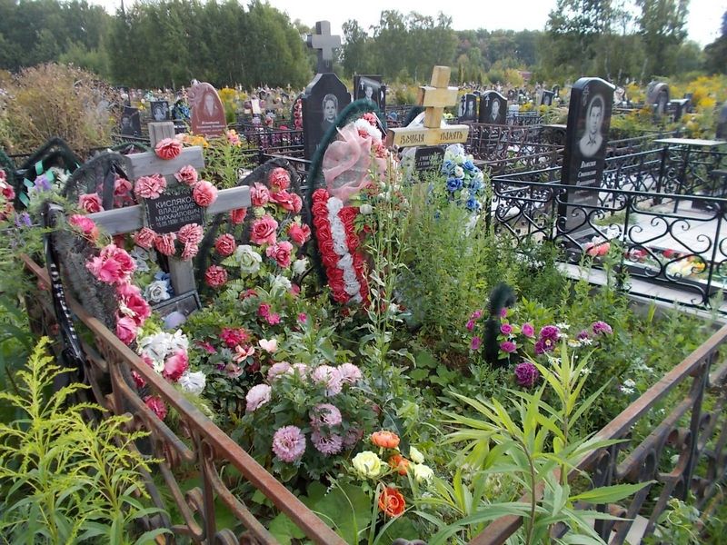 Дмитриев Геннадий Константинович