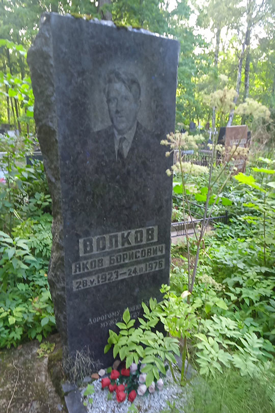 Волков Яков Борисович